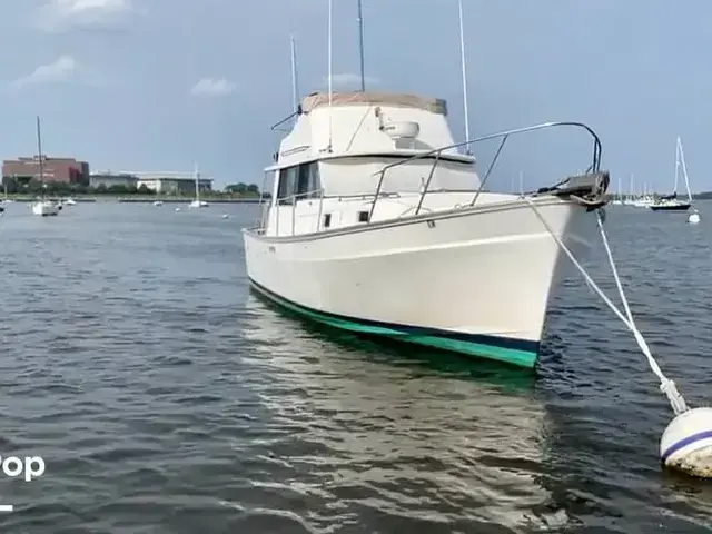 Mainship 34 Cruiser