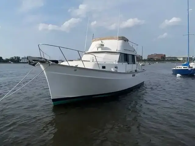 Mainship 34 Cruiser