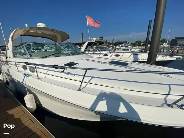 Sea Ray 310 Sundancer