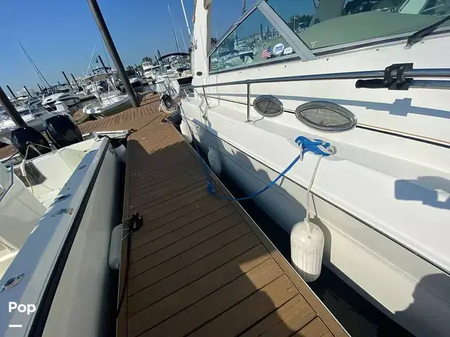 Sea Ray 310 Sundancer