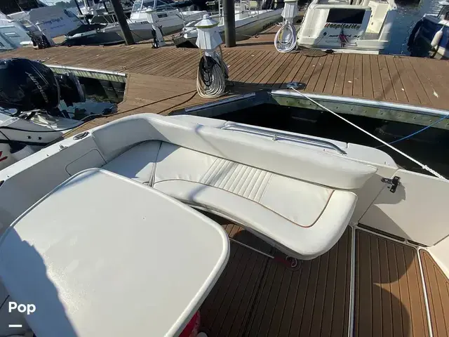 Sea Ray 310 Sundancer