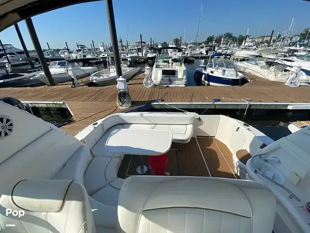 Sea Ray 310 Sundancer