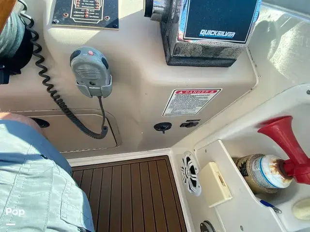 Sea Ray 310 Sundancer