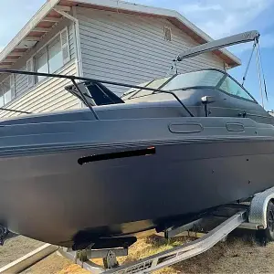 1993 Sea Ray Sundancer 230