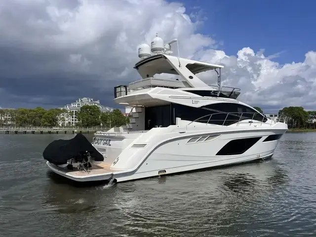 Sea Ray L550 Fly