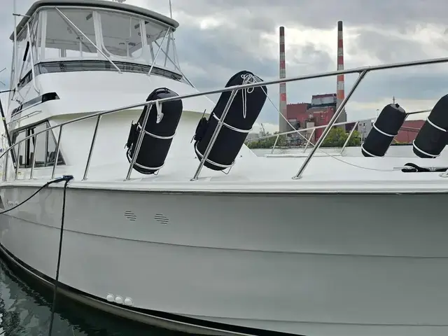 Hatteras Freshwater Convertible