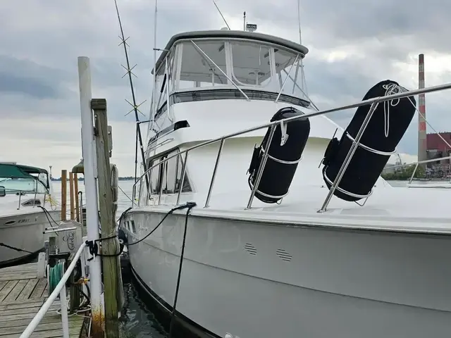 Hatteras Freshwater Convertible