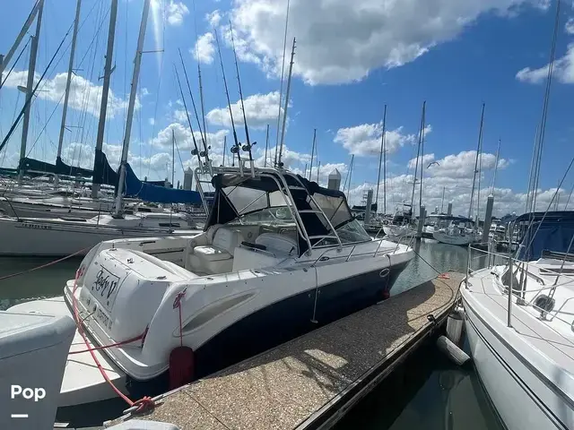 Sea Ray 290 Amberjack