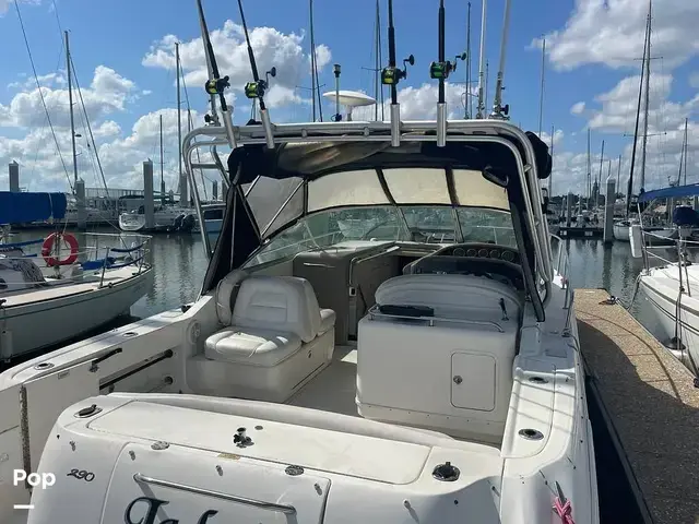 Sea Ray 290 Amberjack