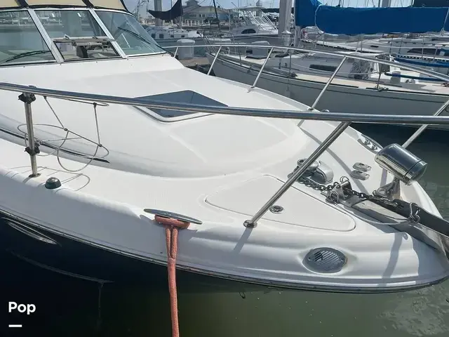 Sea Ray 290 Amberjack