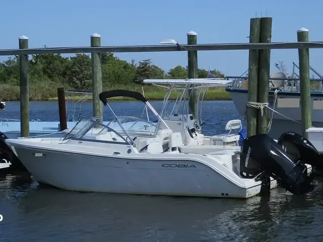 Cobia 220 Dc