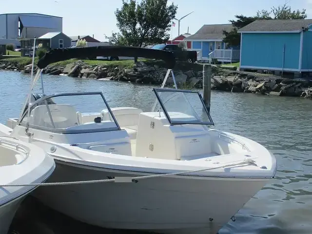 Cobia 220 Dc