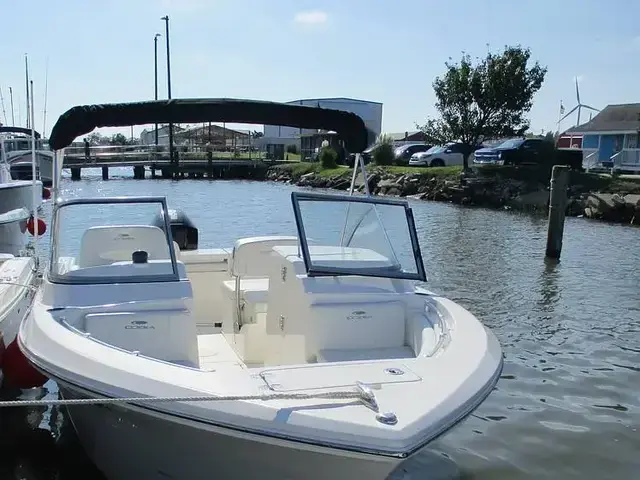 Cobia 220 Dc