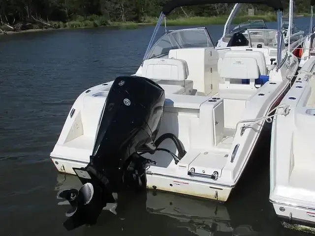 Cobia 220 Dc