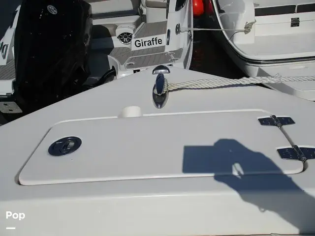 Cobia 220 Dc