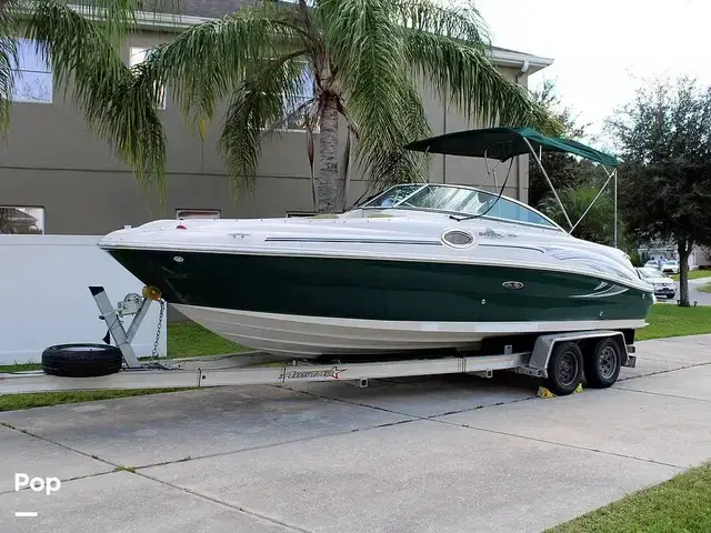 Sea Ray 240 Sundeck