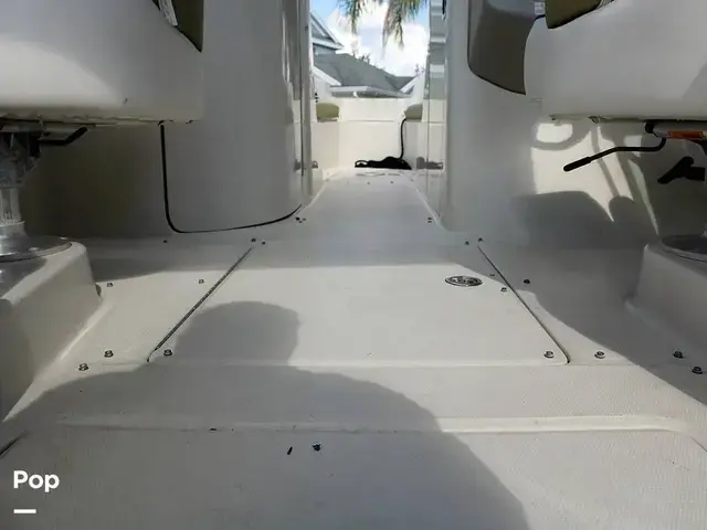 Sea Ray 240 Sundeck