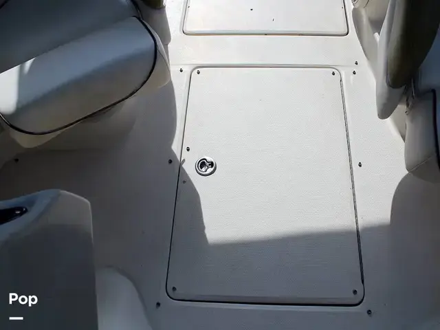 Sea Ray 240 Sundeck