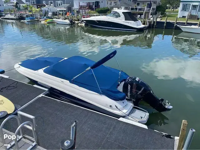 Sea Ray 240 Sundeck