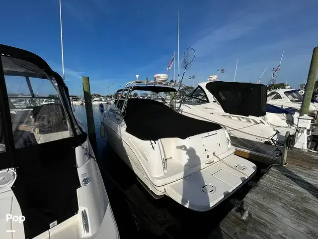 Sea Ray 290 Amberjack