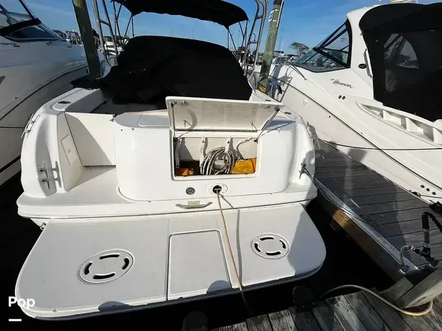 Sea Ray 290 Amberjack