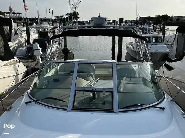 Sea Ray 290 Amberjack