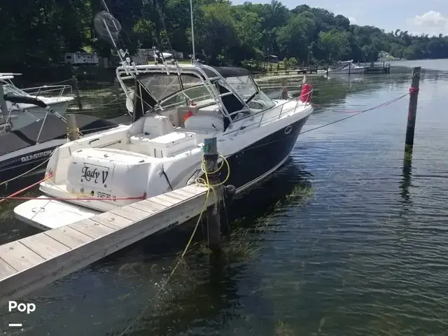 Sea Ray 290 Amberjack