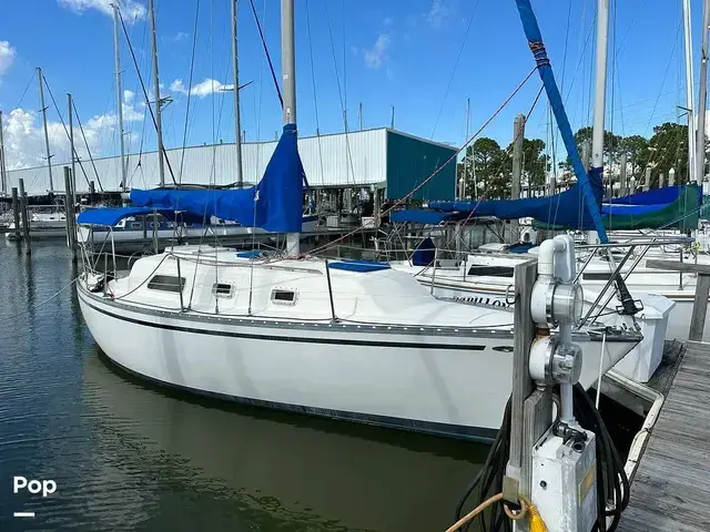 Hunter 30