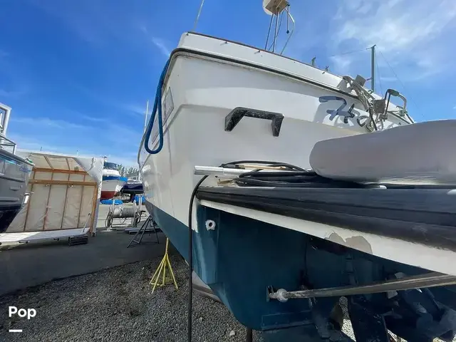 Bayliner 3270 Motoryacht