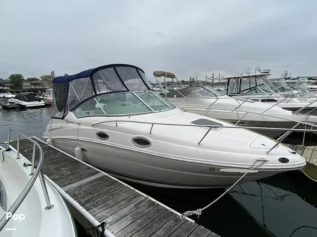 Sea Ray Sundancer 240