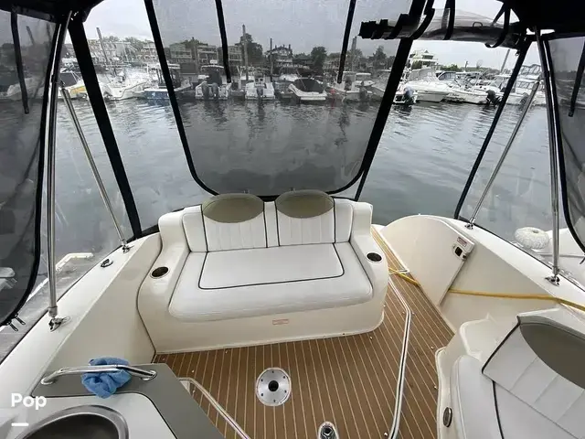 Sea Ray Sundancer 240