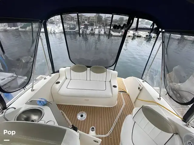 Sea Ray Sundancer 240