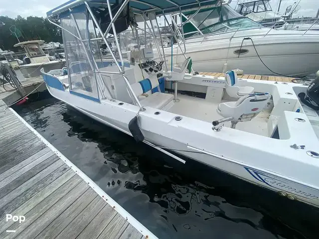 Sea Ray Sundancer 240