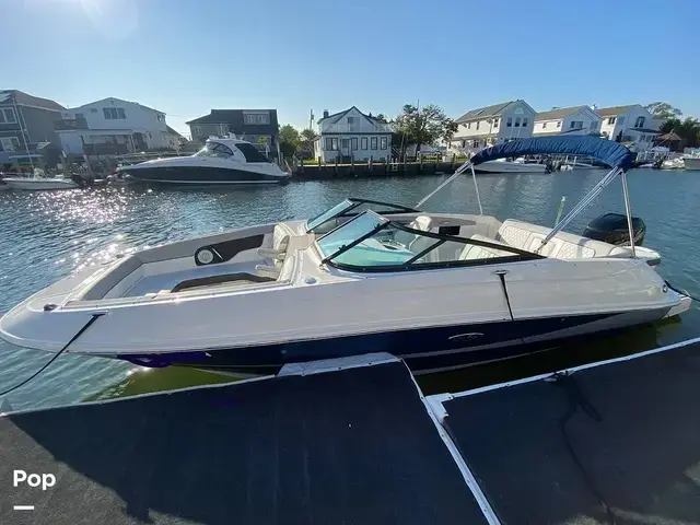 Sea Ray 240 Sundeck