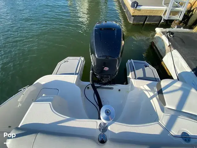 Sea Ray 240 Sundeck