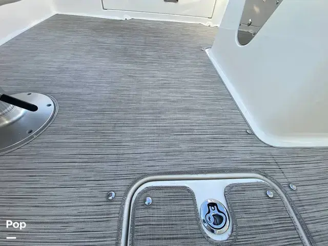 Sea Ray 240 Sundeck