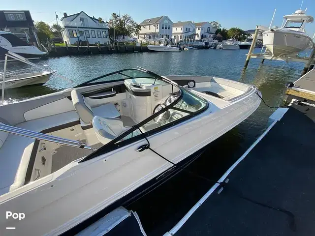 Sea Ray 240 Sundeck