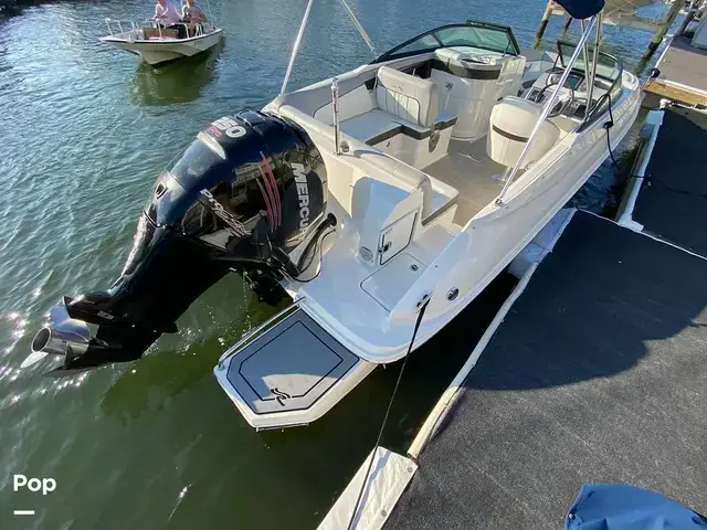 Sea Ray 240 Sundeck