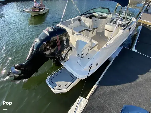 Sea Ray 240 Sundeck