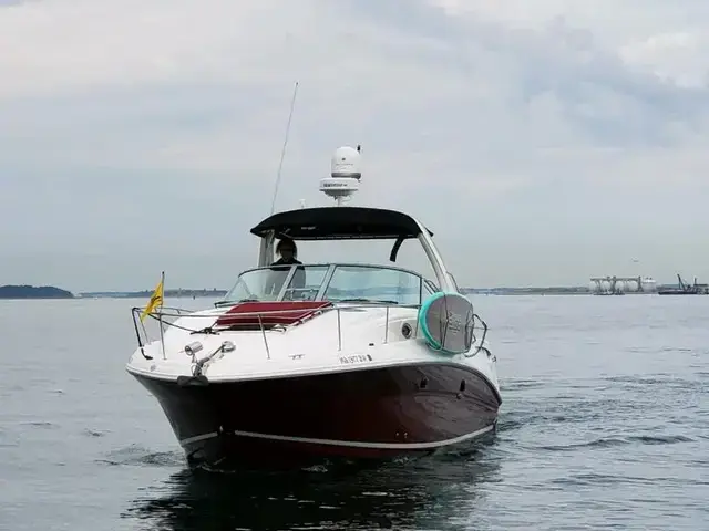 Sea Ray 320 Sundancer