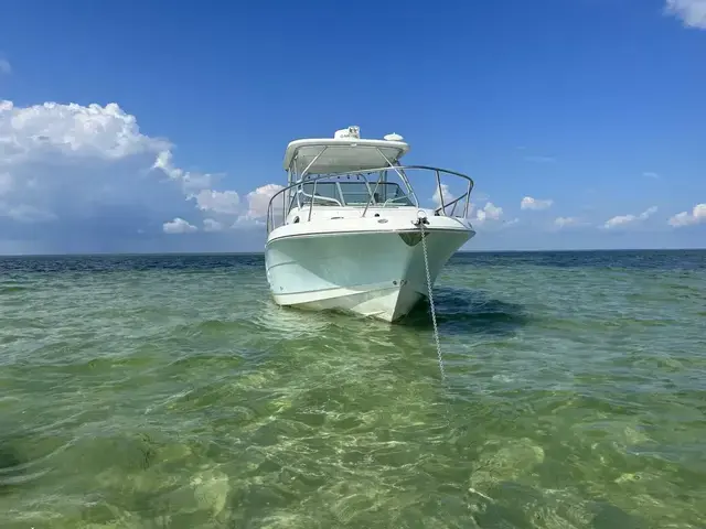 Robalo R305 Walkaround