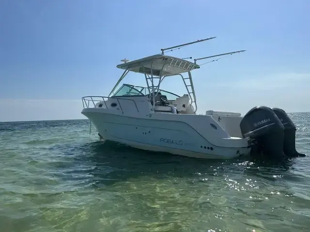 Robalo R305 Walkaround