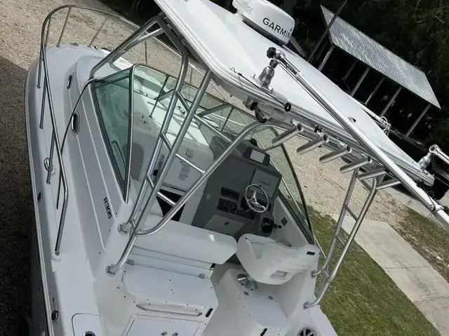 Robalo R305 Walkaround