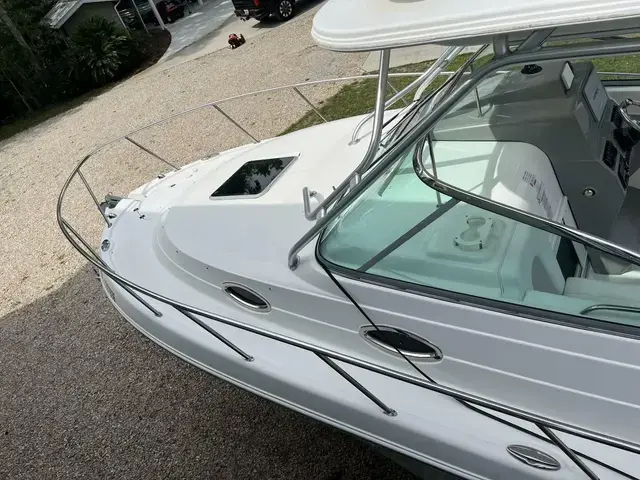 Robalo R305 Walkaround