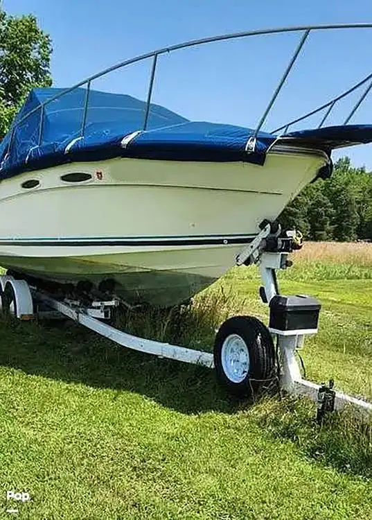 1984 Sea Ray srv255 amberjack