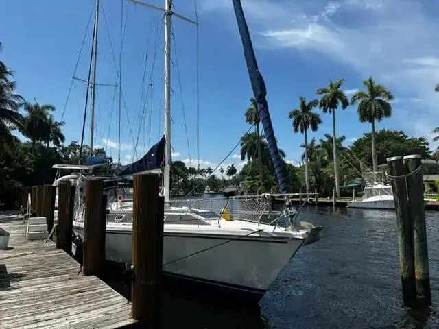 Catalina 42