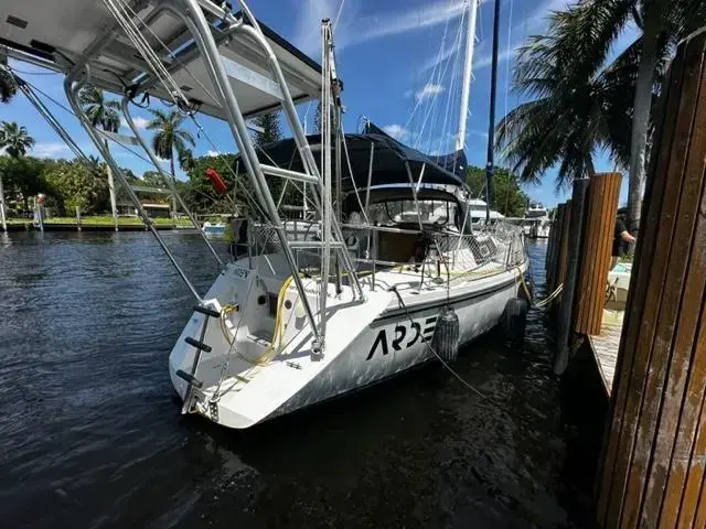 Catalina 42