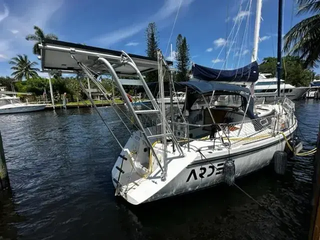 Catalina 42