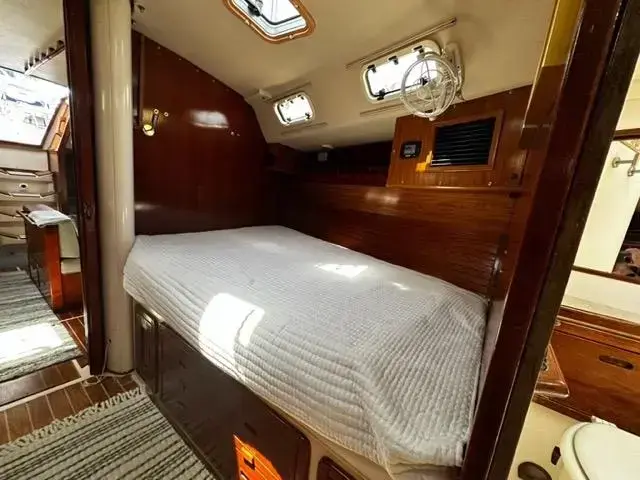 Catalina 42