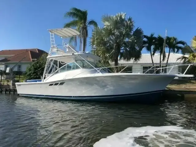 Luhrs 36'